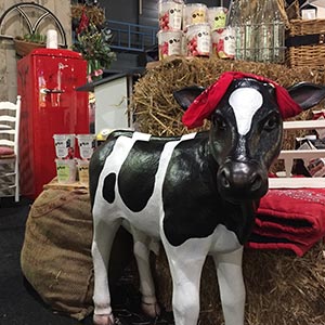 Terugblik Nationale Gezondheidsbeurs 2017