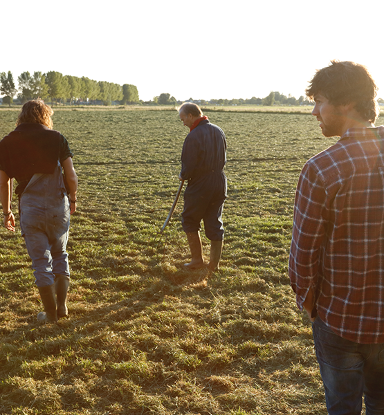 Update: Coronavirus (covid-19)