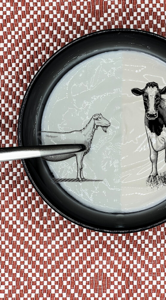 Hoe yoghurts anders gemaakt worden!